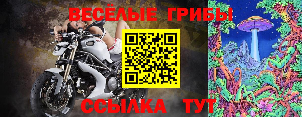 Галлюциногенные грибы Psilocybine cubensis Аргун