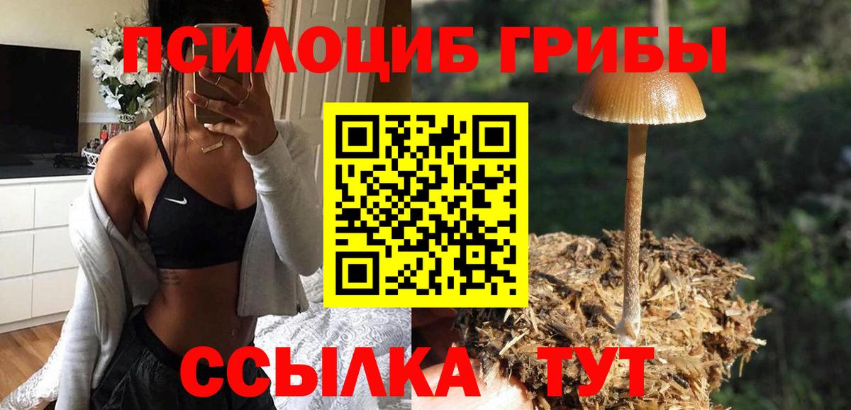 Галлюциногенные грибы Cubensis  Вход с VPN  Аргун 